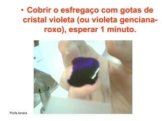 • Cobrir o esfregaço com gotas de
        cristal violeta (ou violeta genciana-
              roxo), esperar 1 minuto.




Profa.Ionara
 