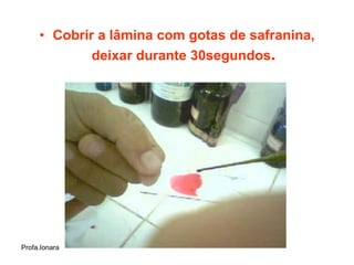 • Cobrir a lâmina com gotas de safranina,
             deixar durante 30segundos.




Profa.Ionara
 