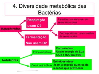 4. Diversidade metabólica das
                  Bactérias
               Respiração              Parasitas: instalam –se em
                                       seres ainda vivos
               usam O2
Heterótrofas
                                        Decompositoras: usam matéria
               Fermentação              de seres mortos

               Não usam O2
                                      Fotossíntese
                   Fotoautotróficas   Usam energia da Luz
                                      CO2 e H2O (ou H2S)
Autótrofas                           Quimiossíntese
                  Quimioautotróficas Usam a energia química de
                                     reações que provocam
 