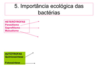 5. Importância ecológica das
                 bactérias
HETERÓTROFAS
Parasitismo
Saprofitismo
Mutualismo




AUTÓTROFAS
Químiossíntese

Fotossíntese
 