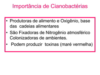 Importância de Cianobactérias

• Produtoras de alimento e Oxigênio, base
  das cadeias alimentares
• São Fixadoras de Nitrogênio atmosférico
  Colonizadoras de ambientes.
• Podem produzir toxinas (maré vermelha)
 