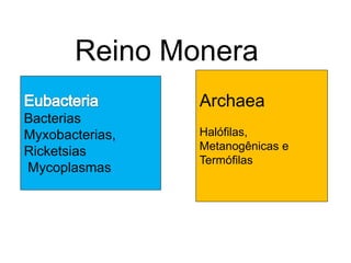Reino Monera
                 Archaea
Bacterias
Myxobacterias,   Halófilas,
Ricketsias       Metanogênicas e
                 Termófilas
Mycoplasmas
 