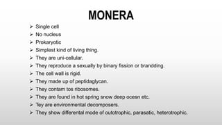 MONERA
 Single cell
 No nucleus
 Prokaryotic
 Simplest kind of living thing.
 They are uni-cellular.
 They reproduce a sexually by binary fission or brandding.
 The cell wall is rigid.
 They made up of peptidaglycan.
 They contam tos ribosomes.
 They are found in hot spring snow deep ocesn etc.
 Tey are environmental decomposers.
 They show differental mode of outotrophic, parasatic, heterotrophic.
 