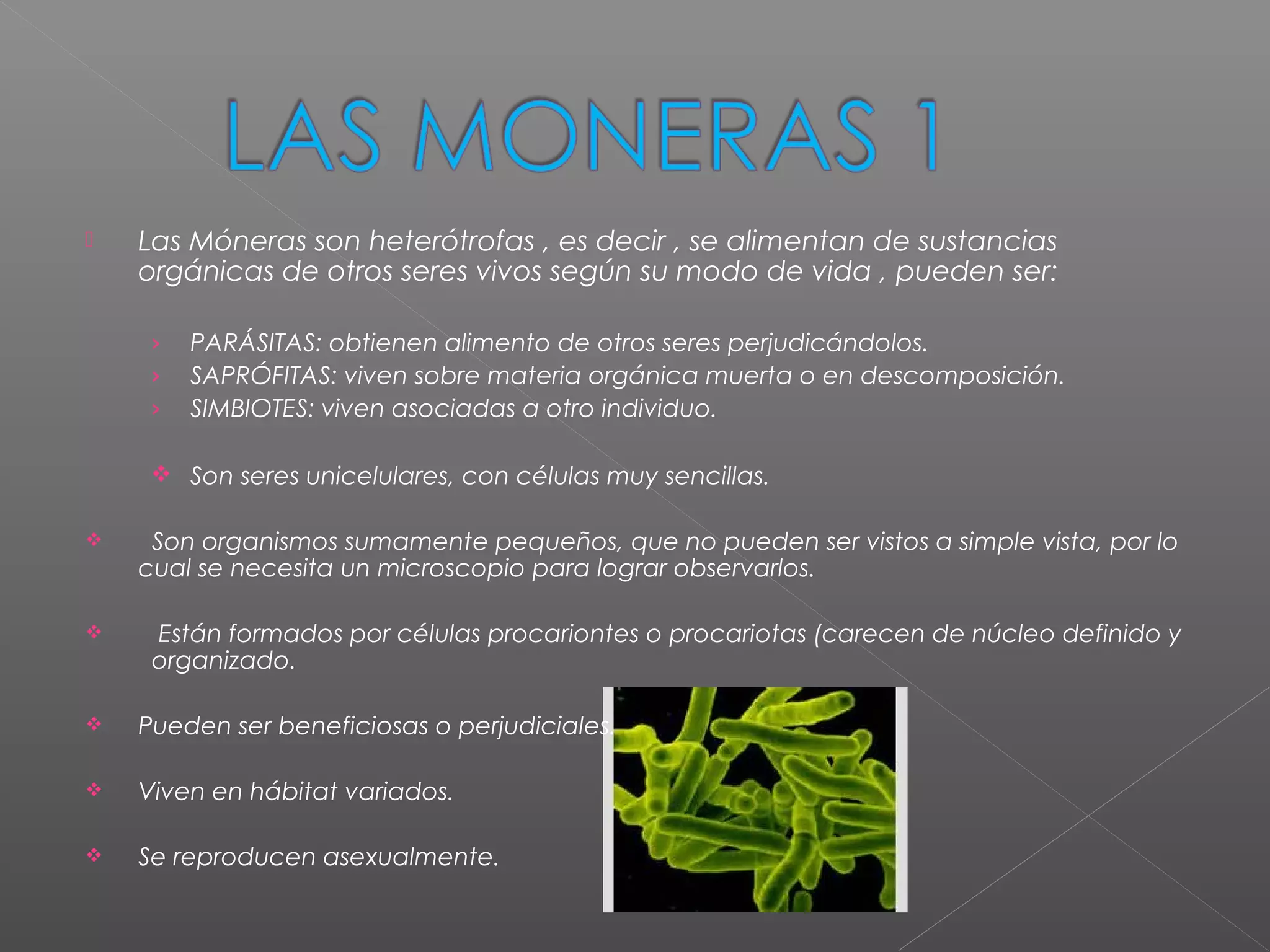 Moneras, hongos y protistas | PPT