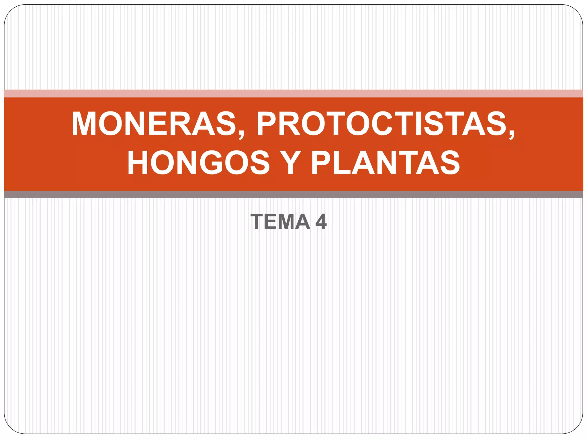 Moneras, protoctistas, hongos y plantas | PPTX
