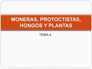 TEMA 4
MONERAS, PROTOCTISTAS,
HONGOS Y PLANTAS
 
