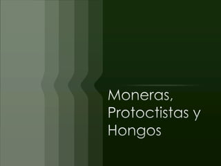 Moneras, protoctistas y hongos