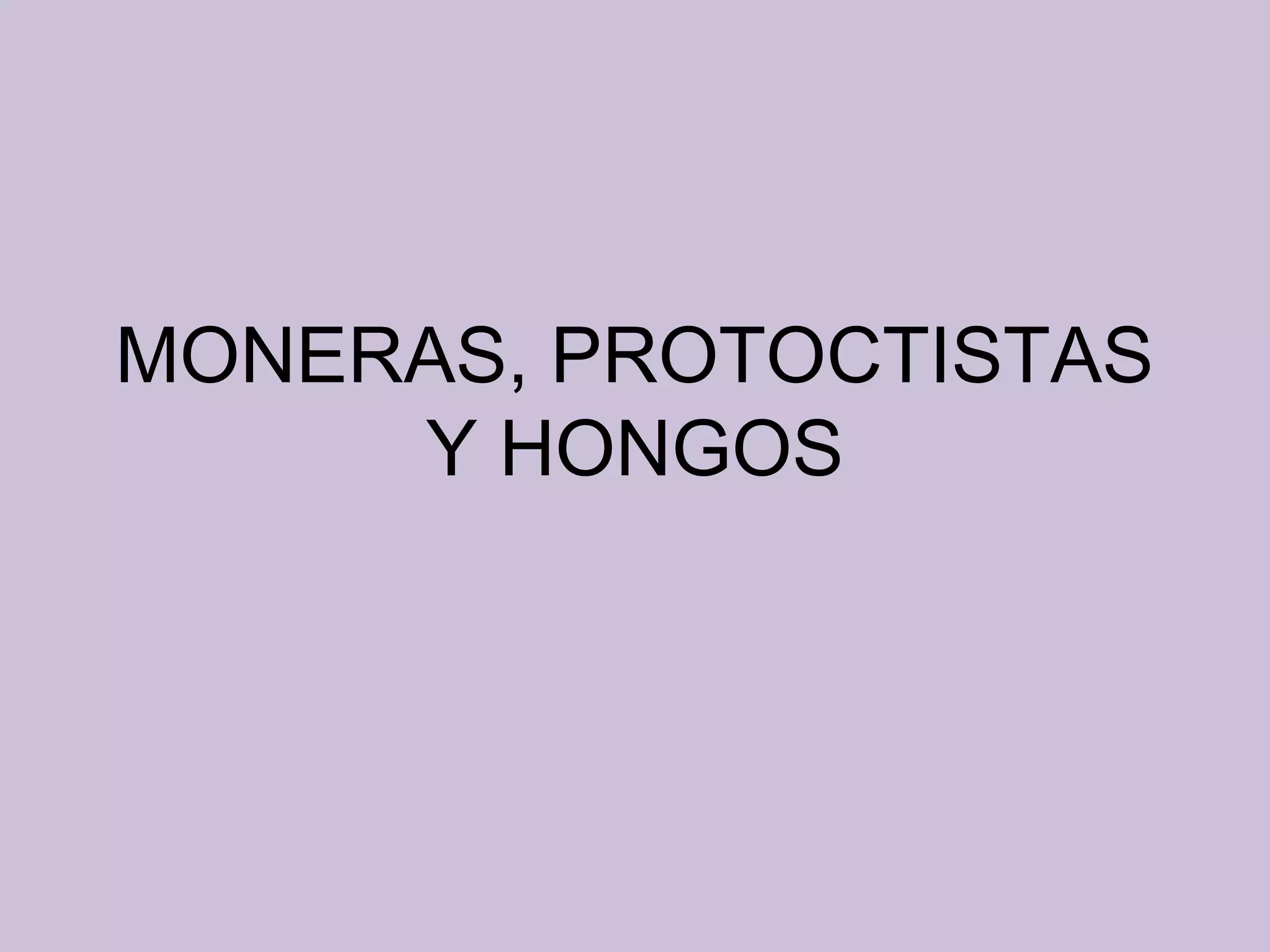 Moneras, protoctistas y hongos | PPT