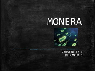 MONERA
CREATED BY :
KELOMPOK 1
 