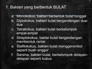 1. Bakteri yang berbentuk BULAT
a. Monokokus, bakteri berbentuk bulat tunggal
b. Diplokokus, bakteri bulat bergandengan dua-
dua
c. Tatrakokus, bakteri bulat berkelompok
empat-empat
d. Streptokokus, baktei bulat bergandengan
membentuk rantai
e. Stafilokokus, bakteri bulat menggerombol
seperti buah anggur
f. Sarsina, bakteri bulat, berkelompok delapan-
delapan seperti kubus
 
