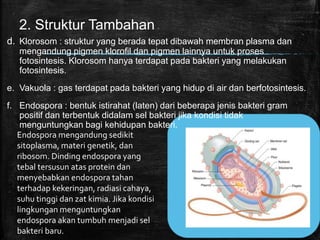 2. Struktur Tambahan
d. Klorosom : struktur yang berada tepat dibawah membran plasma dan
mengandung pigmen klorofil dan pigmen lainnya untuk proses
fotosintesis. Klorosom hanya terdapat pada bakteri yang melakukan
fotosintesis.
e. Vakuola : gas terdapat pada bakteri yang hidup di air dan berfotosintesis.
f. Endospora : bentuk istirahat (laten) dari beberapa jenis bakteri gram
positif dan terbentuk didalam sel bakteri jika kondisi tidak
menguntungkan bagi kehidupan bakteri.
Endospora mengandung sedikit
sitoplasma, materi genetik, dan
ribosom. Dinding endospora yang
tebal tersusun atas protein dan
menyebabkan endospora tahan
terhadap kekeringan, radiasi cahaya,
suhu tinggi dan zat kimia. Jika kondisi
lingkungan menguntungkan
endospora akan tumbuh menjadi sel
bakteri baru.
 