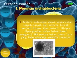 Peranan Monera
Pengertian
Peran
Monera
Ciri-ciri
Jenis - jenis
Reproduksi
Bakteri metanogen dapat menguraikan
sampah-sampah dan kotoran ternak
menjadi biogas (gas metan). Biogas
dipergunakan untuk bahan bakar
pengganti BBM maupun bahan bakar lain
yang keberadaannya semakin terbatas
 