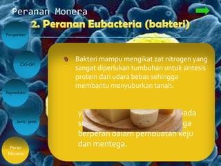 Peranan Monera
Pengertian
Peran
Monera
Ciri-ciri
Jenis - jenis
Reproduksi
Bakteri berperan dalam industri
pemrosesan susu. Contohnya
bakteri lactobacillus bulgaricus
dapat digunakan untuk membuat
yoghurt dan menyekresikan zat
yang memberi aroma sedap pada
susu. Selain itu juga bakteri juga
berperan dalam pembuatan keju
dan mentega.
Bakteri mampu mengikat zat nitrogen yang
sangat diperlukan tumbuhan untuk sintesis
protein dari udara bebas sehingga
membantu menyuburkan tanah.
 