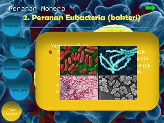 Peranan Monera
Pengertian
Peran
Monera
Ciri-ciri
Jenis - jenis
Reproduksi
Yang merugikan
Bakteri patogen, adalah bakteri parasit
yang dapat menimbulkan penyakit pada
manusia. Cara bakteri dapat mengganggu
jaringan dan sistem tubuh ada 2, yaitu
 Infeksi
 Pengaruh racun/ toksin
 