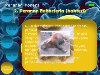 Peranan Monera
Pengertian
Peran
Monera
Ciri-ciri
Jenis - jenis
Reproduksi
Contoh bakteri yang merugikan:
1. Mycobacteium tuberculosis, yaitu bakteri
penyebab penyakitTBC.
2. Clostridium pallidum, yaitu bakteri penyebab
penyakit tetanus.
3.Treponema pallidum, yaitu bakteri penyabab
penyakit sifilis.
4. Neisseria gonorrhoeae, yaitu bakteri enyabab
penyakit kencing nanah.
5. Diplococcus pneumoniae, yaitu bakteri
penyabab radang paru-paru.
6. Bacillus anthtracis, yaitu bakteri penyebab
penyakit antraks pada sapi.
7. Pseudomonas cocovenenans, yaitu bakteri
yang menghasilka racun asam bongkrek pada
tempe bongkrek.
8. Clostridium botulinum, yaitu bakteri yang
menghasilkan racun botulinin pada makanan
kaleng yang telah rusak.
9. Pseudomonas cattleyae, yaitu bakteri
penyebab penyakit pada anggrek.
 