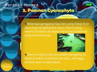 Peranan Monera
Pengertian
Peran
Monera
Ciri-ciri
Jenis - jenis
Reproduksi
Jenis alga baru seperti spirulina, mampu
menghasikan senyawa karboidrat dan
senyawa organik lain yang sangat diperlukan
oleh manusia. Hal ini memberi harapan kepada
manusia bahwa spirulina bisa menjadi bahan
makanan di masa yang akan datang.
Beberapa ganggang hijau biru yang hidup di air
ada yang mengeluarkan racun. Racun yang
terlarut di dalam air dapat meracuni organisme
yang meminumnya.
Sifat merugikan lainnya adalah ganggang ini
dapat tumbuh di tembok dan batu, sehingga
tembok akan mudah lapuk.
 