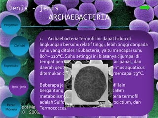 ARCHAEBACTERIA
Jenis - jenis
Pengertian
Reproduksi
Peran
Monera
Ciri-ciri
Jenis - jenis
1. Jenis – jenis Archaebacteria
Dalam sistem klasifikasi modern, Archaebacteria
dibagi menjadi empat kelompok utama yaitu
krenarkaeota, euriarkaeota, korarkaeota, dan
nanoarkaeota. Euriarkaeota merupakan
kelompok yang penting, terdiri dari
metanokokus, metanopiri, metanobakter,
halobakteri, termoplasma, termokokus, dan
arkaeoglobi.
Berdasarkan keadaan lingkungan yang
dikehendaki, Archaebacteria dibedakan menjadi
tiga kelompok.
a. Archaebacteria halofil
b. Archaebacteria Metanogen
c. ArchaebacteriaTermofil
a. Archaebacteria halofil
Archaebacteria ini ditemukan di lingkungan
berkadar garam tinggi. Contohnya adalah
Halobacterium yang dapat tumbuh optimum
pada kadar garam setinggi 20 – 30 persen.
Jika konsentrasi garam turun, sel
Halobacterium mengalami lisis sehingga
rusak dan mati.
b. Archaebacteria metanogen
memperoleh energi dari metabolisme yang
mengubah senyawa karbon dioksida dan hidrogen
menjadi gas metana. Senyawa yang dapat diubah
menjadi metana oleh orgnisme ini antara lain
methanol, asam formiat, asam asetat, dan metal
alamin. Archaebacteria metanogen
membutuhkan bakteri anaerob lain yang dapat
mengubah senyawa itu menjadi karbon dioksida
dan hidrogen. Gas karbon dioksida dan hidrogen
ini kemudian digunakan oleh Archaebacteria
metanogen.
c. ArchaebacteriaTermofil ini dapat hidup di
lingkungan bersuhu relatif tinggi, lebih tinggi daripada
suhu yang ditolerir Eubacteria, yaitu mencapai suhu
80° – 110°C. Suhu setinggi ini biasanya dijumpai di
tempat pembuatan kompos, sumber air panas, dan
daerah geothermal di laut dalam.Thermus aquaticus
ditemukan di perairan yang suhunya mencapai 79°C.
Beberapa jenis Archaebacteria termofil lain
bergantung pada keberadaan sulfur dalam
metabolismenya. Contoh Archaebacteria termofil
adalah Sulfolobus,Termoplasma, Pyrodictium, dan
Termococcus.
 