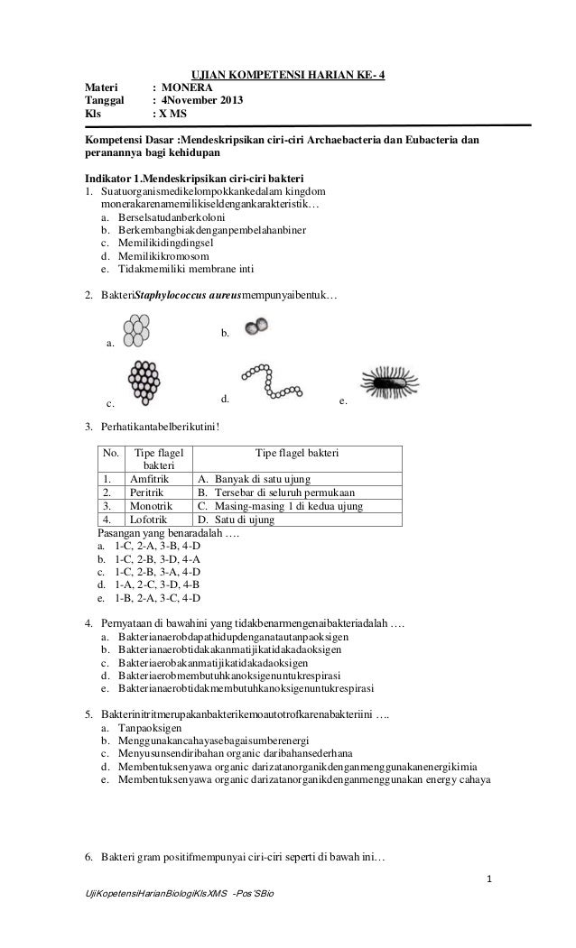 Soal C 4 Materi Bakteri Dan Archaebakteri