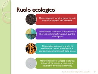 Ruolo ecologicoRuolo ecologico
11Scuola Secondaria Bolgare. Prof. Locatelli
 
