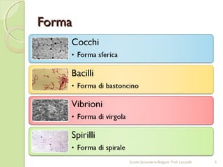 FormaForma
5Scuola Secondaria Bolgare. Prof. Locatelli
 