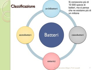 ClassificazioneClassificazione
Si conoscono più di
10 000 specie di
batteri, ma si pensa
che ne esistano più di
un milione
7Scuola Secondaria Bolgare. Prof. Locatelli
 