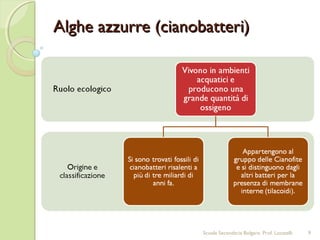Alghe azzurre (cianobatteri)Alghe azzurre (cianobatteri)
9Scuola Secondaria Bolgare. Prof. Locatelli
 