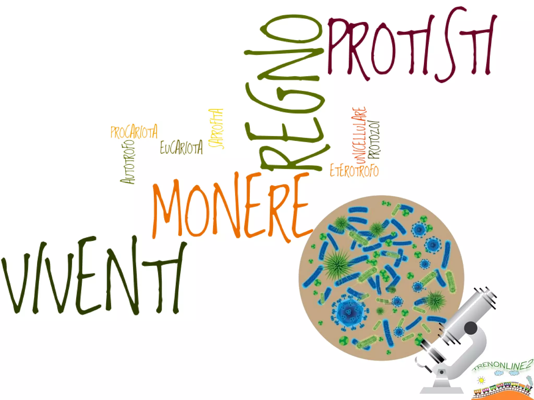 Monere e protisti | PDF