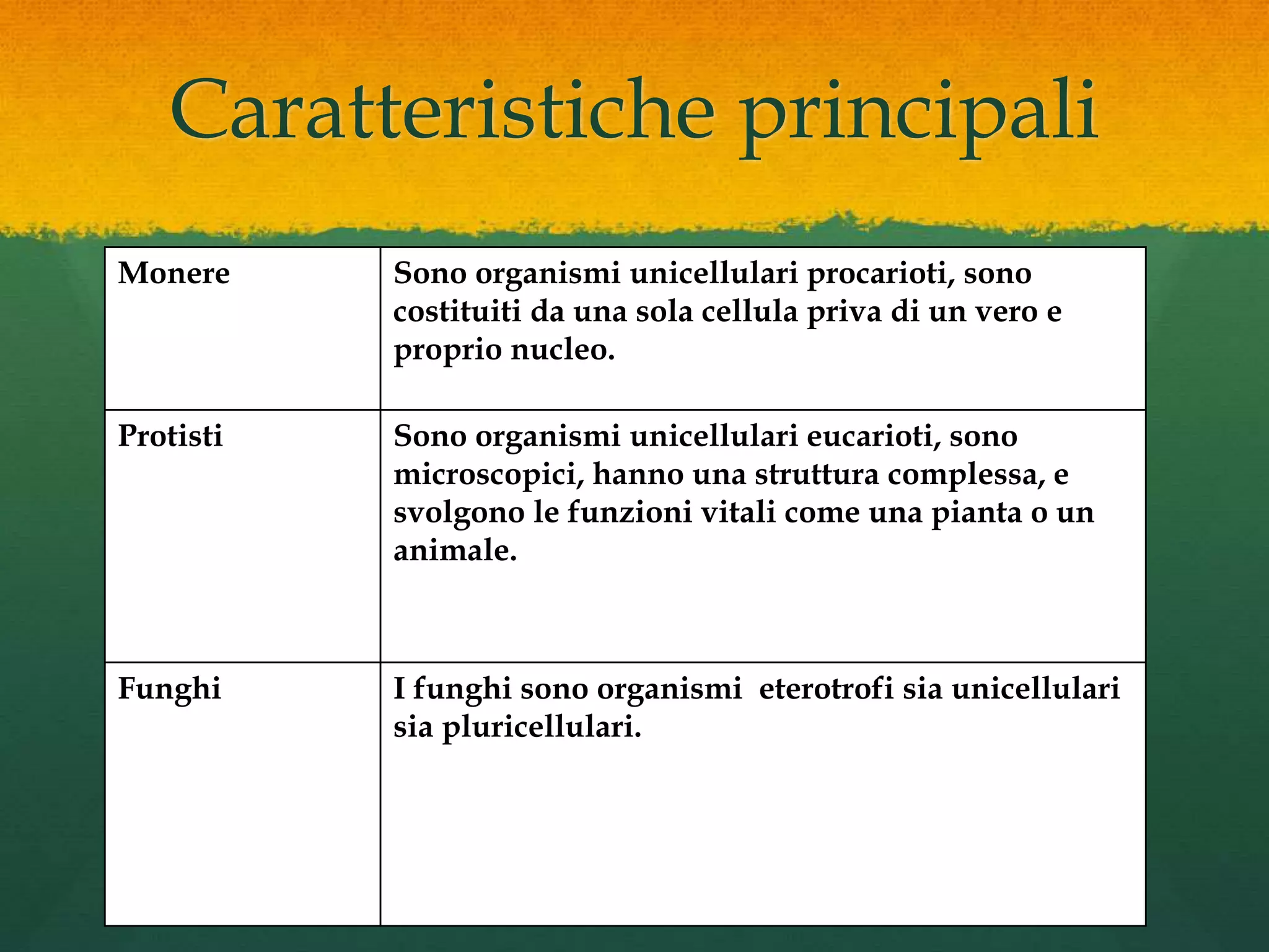 Monere, protisti, funghi | PPTX