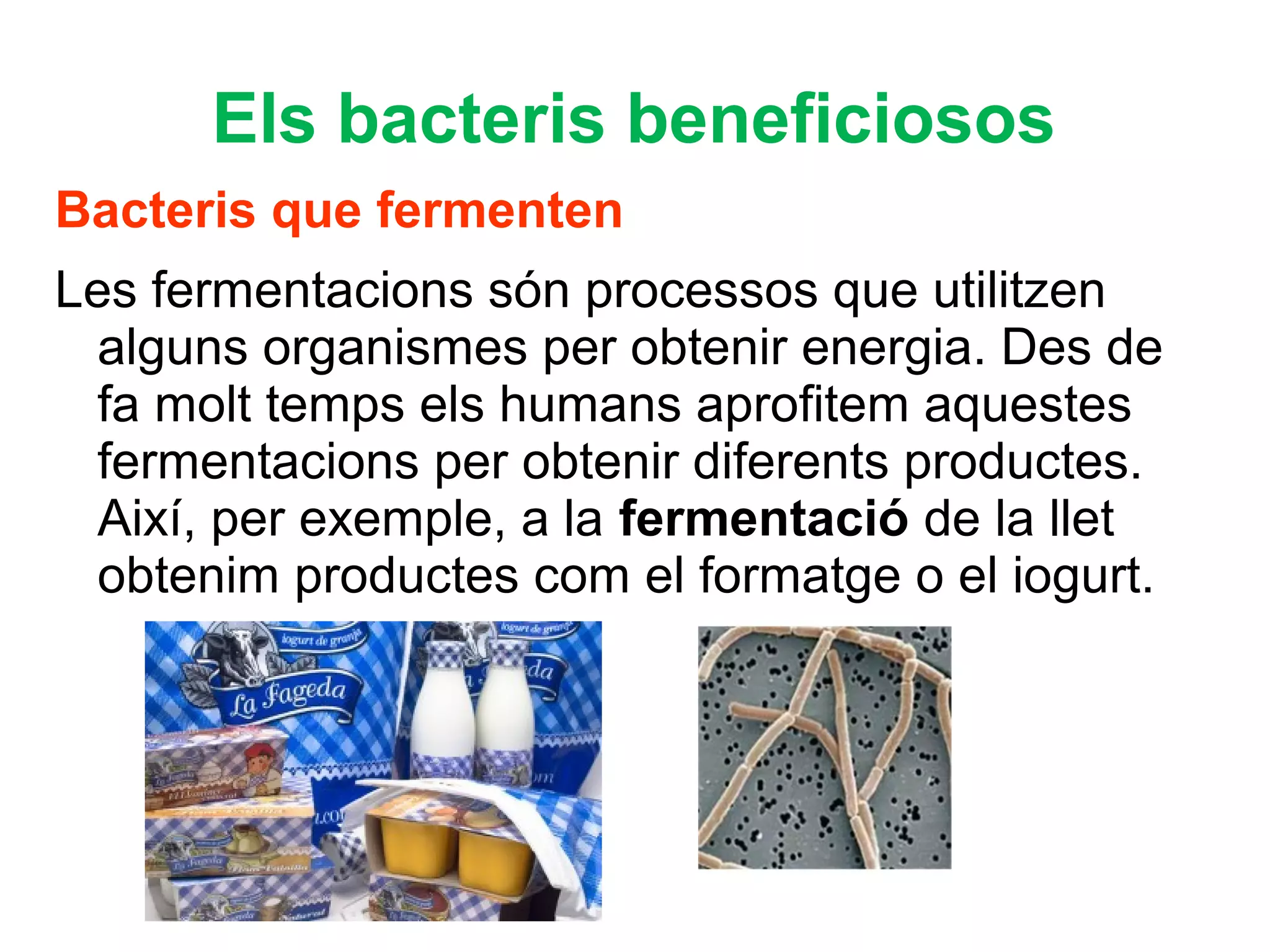 Moneres 1 rESO | PPT