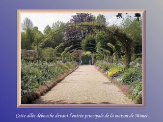 Cette allée débouche devant l’entrée principale de la maison de Monet. 