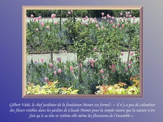 Gilbert Vahé, le chef jardinier de la fondation Monet est formel : «  il n’y a pas de calendrier des fleurs visibles dans les jardins de Claude Monet pour la simple raison que la nature n’en fait qu’à sa tête et rythme elle-même les floraisons de l’ensemble ».  