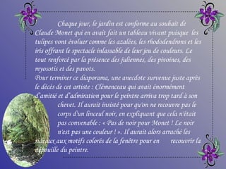 Chaque jour, le jardin est conforme au souhait de Claude Monet qui en avait fait un tableau vivant puisque  les tulipes vont évoluer comme les azalées, les rhododendrons et les iris offrant le spectacle inlassable de leur jeu de couleurs. Le tout renforcé par la présence des juliennes, des pivoines, des myosotis et des pavots. Pour terminer ce diaporama, une anecdote survenue juste après le décès de cet artiste : Clémenceau qui avait énormément d’amitié et d’admiration pour le peintre arriva trop tard à son  chevet. Il aurait insisté pour qu'on ne recouvre pas le  corps d'un linceul noir, en expliquant que cela n'était  pas convenable : « Pas de noir pour Monet ! Le noir  n'est pas une couleur ! ». Il aurait alors arraché les  rideaux aux motifs colorés de la fenêtre pour en  recouvrir la dépouille du peintre. 