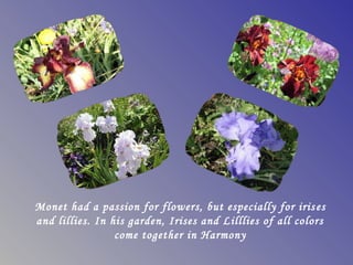 Monet had a passion for flowers, but especially for iris es
and lillies. In his garden, Irises and Lilllies of all colors
                 come together in Harmony
 