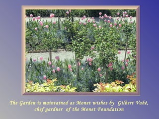 The Garden is maintained as Monet wishes by Gilbert Vahé,
          chef gardner of the Monet Foundation
 