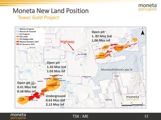 Moneta investor january 2021 