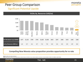 Moneta investor january 2021 