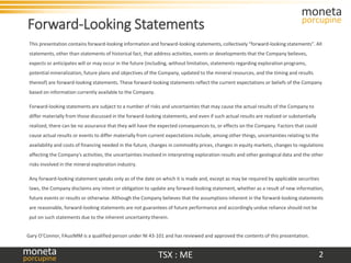 Moneta investor january 2021 