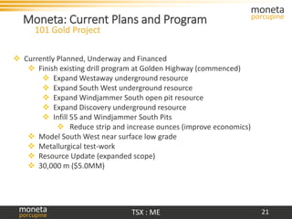 Moneta investor january 2021 