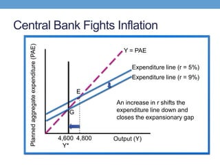 Central Bank Fights Inflation
Output (Y)
Plannedaggregateexpenditure(PAE)
Y = PAE
E
Expenditure line (r = 5%)
4,800
An increase in r shifts the
expenditure line down and
closes the expansionary gap
4,600
Y*
Expenditure line (r = 9%)
G
 