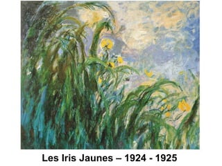 Les Iris Jaunes – 1924 - 1925 