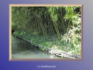 Monet  giverny_france