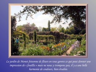 Le jardin de Monet foisonne de fleurs en tous genres ce qui peut donner une
   impression de « fouillis » mais ne nous y trompons pas, il y a une belle
                     harmonie de couleurs, bien étudiée.
 