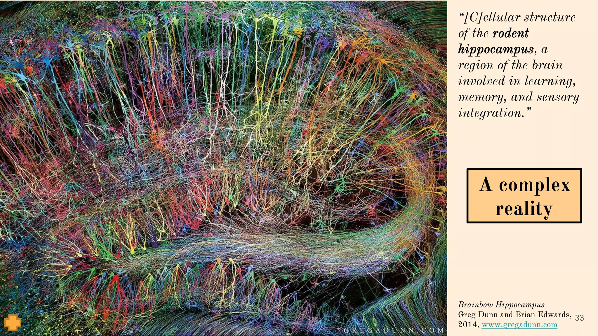 33
“[C]ellular structure
of the rodent
hippocampus, a
region of the brain
involved in learning,
memory, and sensory
integration.”
Brainbow Hippocampus
Greg Dunn and Brian Edwards,
2014, www.gregadunn.com
A complex
reality
 