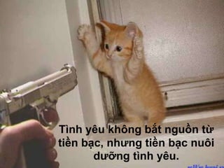 Tình yêu không bắt nguồn từ tiền bạc, nhưng tiền bạc nuôi dưỡng tình yêu.
