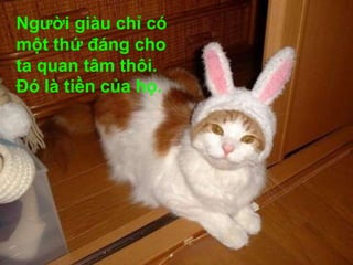 Người giàu chỉ có một thứ đáng cho ta quan tâm thôi. Đó là tiền của họ.