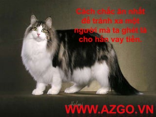 Cách chắc ăn nhất để tránh xa một người mà ta ghét là cho hắn vay tiền.WWW.AZGO.VN