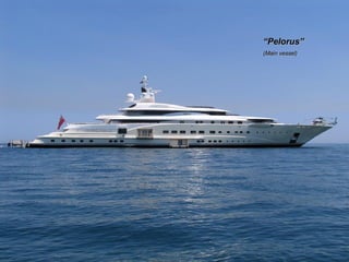 “ Pelorus” (Main vessel) 