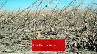 {
But will become like this.
 