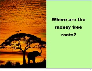 Where are the money tree   roots?                1 