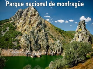 Parque nacional de monfragüe 